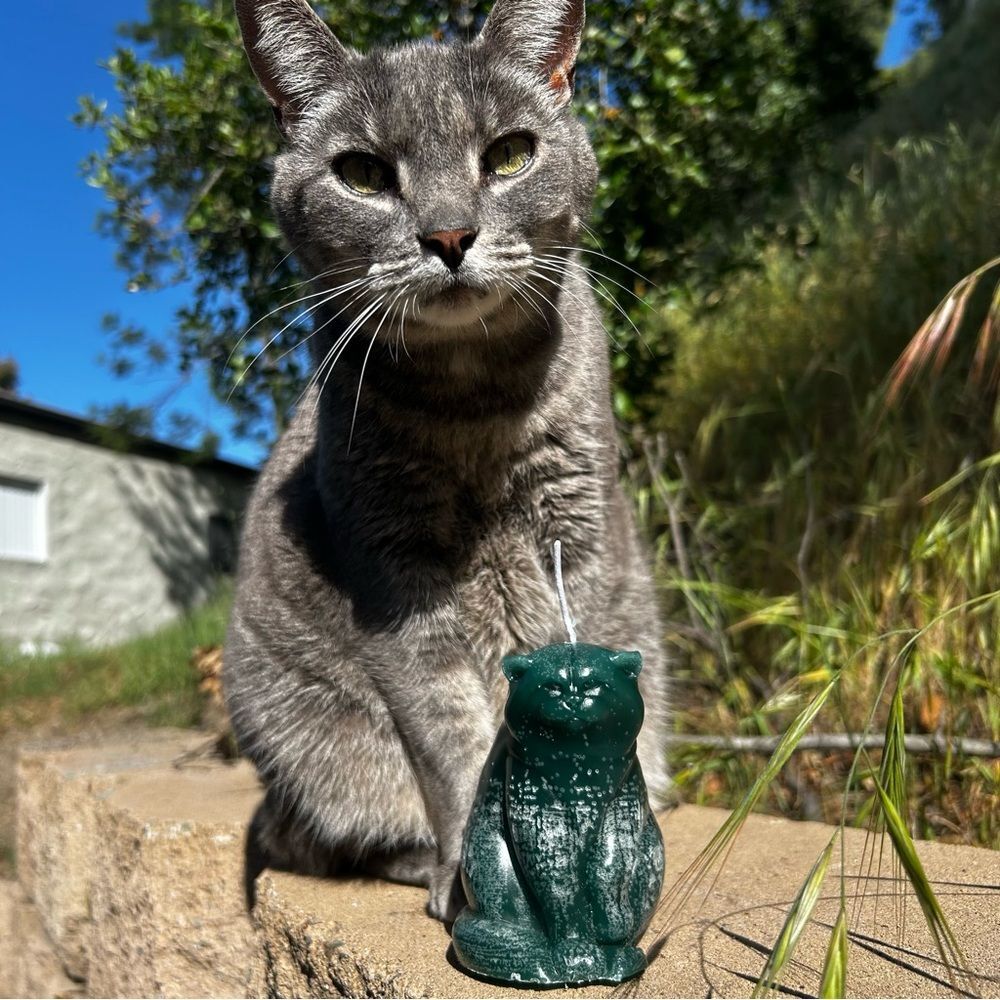 Green Fat Cat Candle
